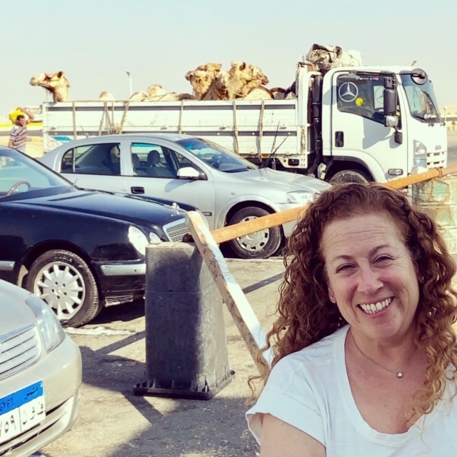  At a truck stop, with camels