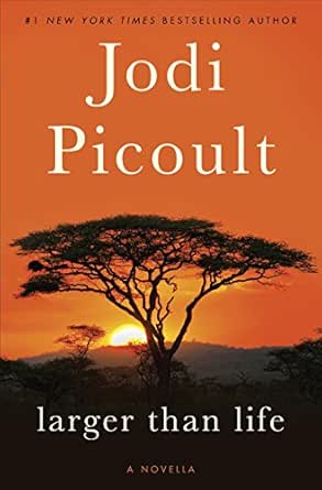 Larger Than Life eBook
