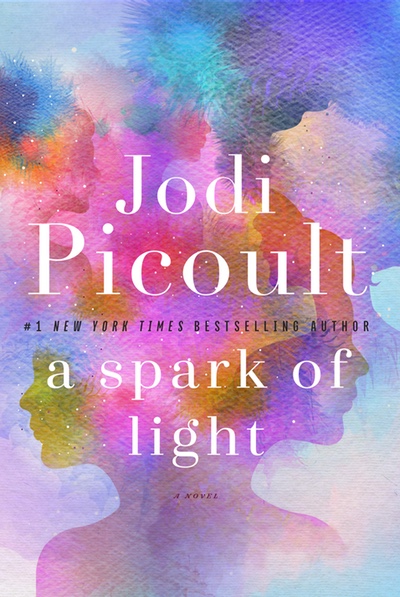 Image result for a spark of light jodi picoult