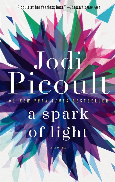 Jodi Picoult A Spark Of Light 18