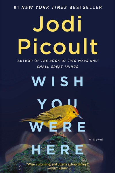 Jodi Picoult · Wish You Were Here (2021) pic