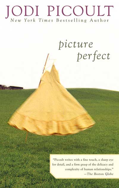 Image result for Picture perfect book cover jodi